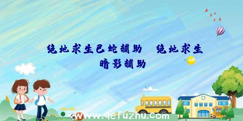 「绝地求生巴蛇辅助」|绝地求生暗影辅助